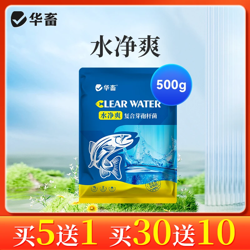 【抢】免红糖芽孢复合芽孢杆菌水净爽鱼虾蟹水产养殖调水净水 S