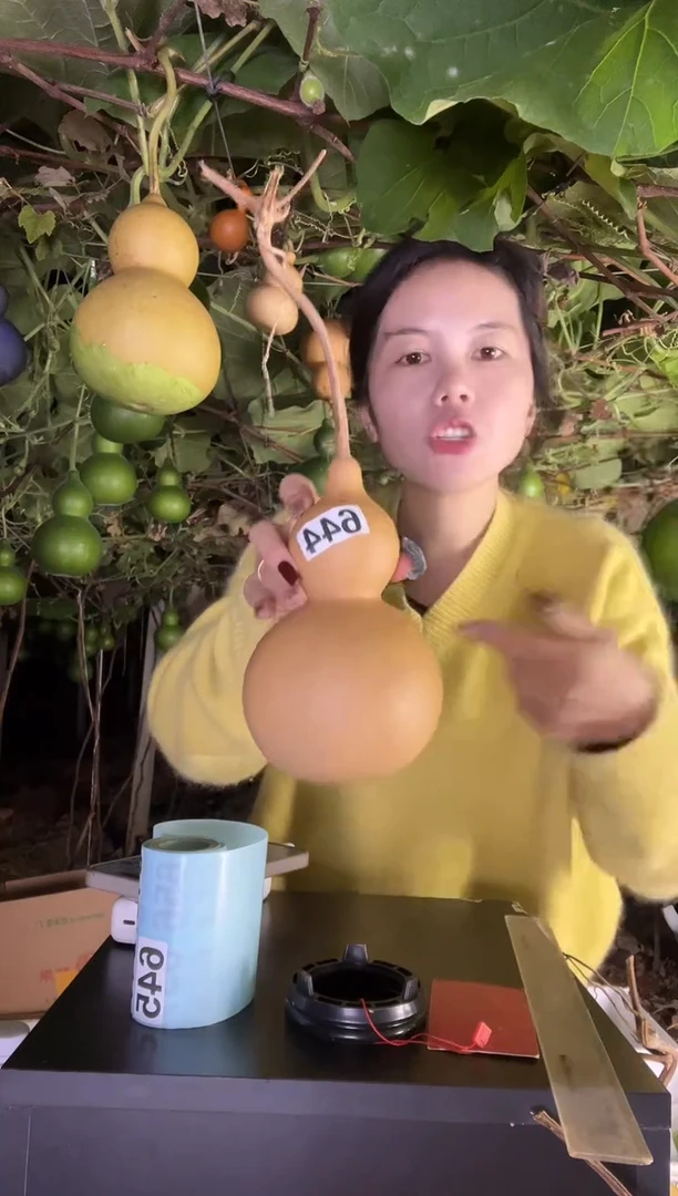 沐*阅644天然葫芦摆件 一物一拍龙头不保售后