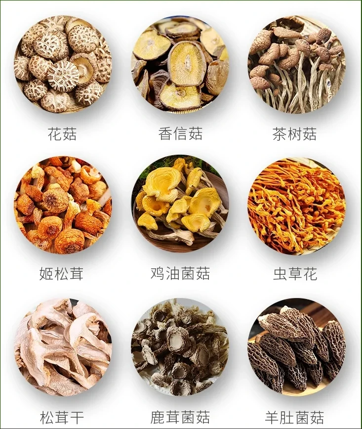 【阿飞山货】5号 代拍链接 所见即所得  菌菇