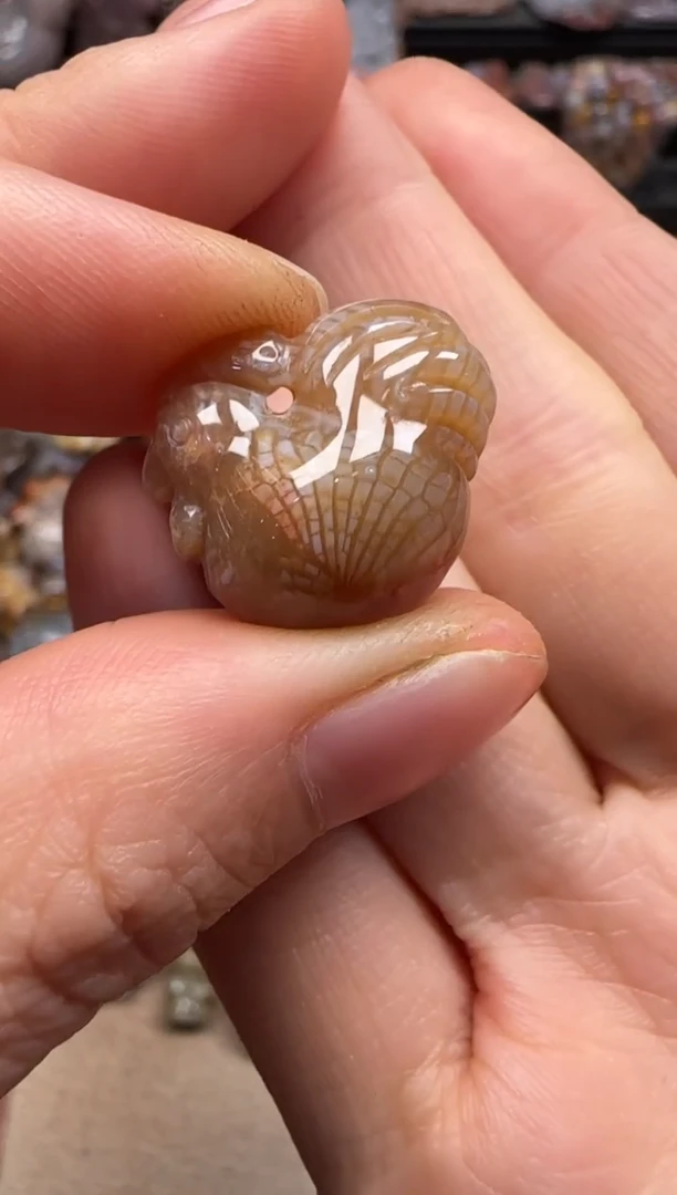 【闪购商品】硅化珊瑚（珊瑚玉）颈饰未镶嵌202