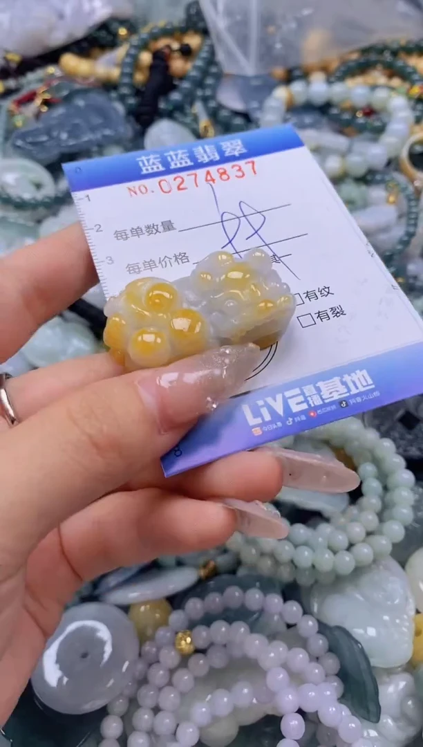 翡翠未镶嵌颈饰闪购0274837