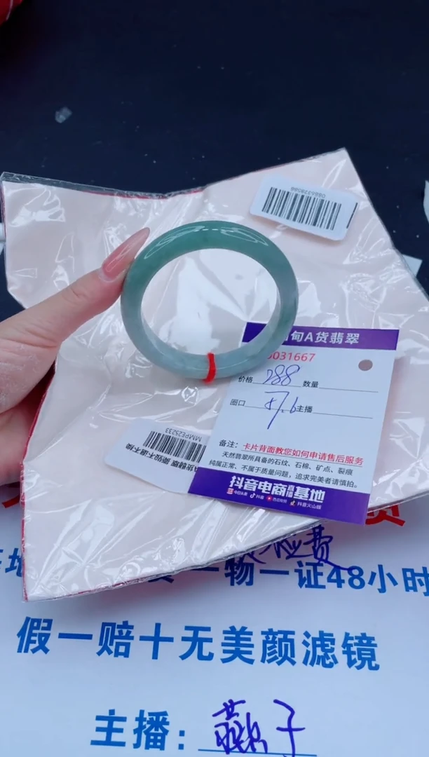 未镶嵌手镯翡翠288.00