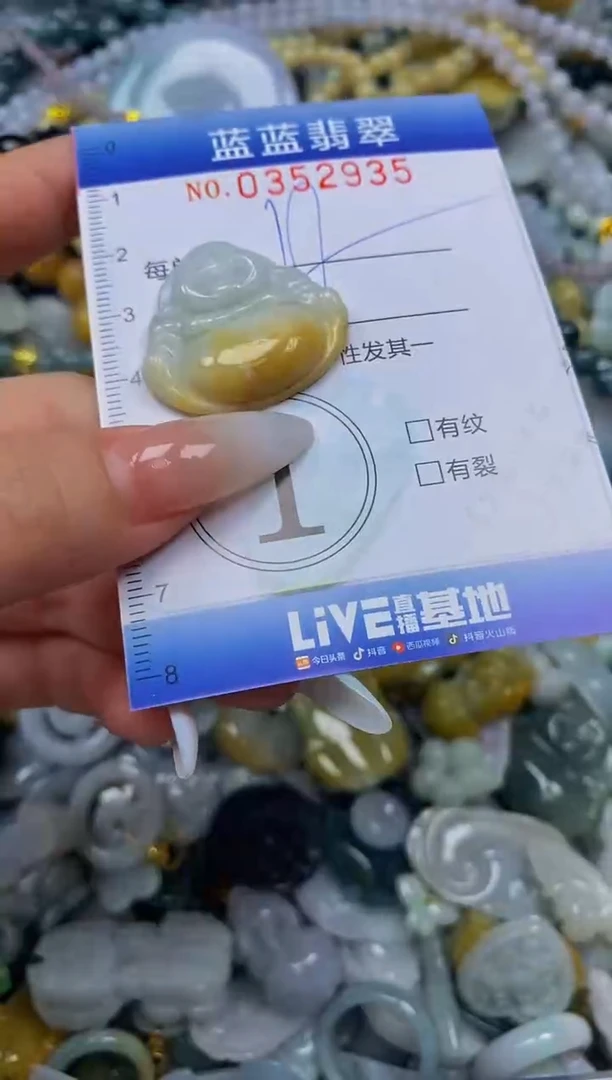 颈饰未镶嵌翡翠闪购0352935