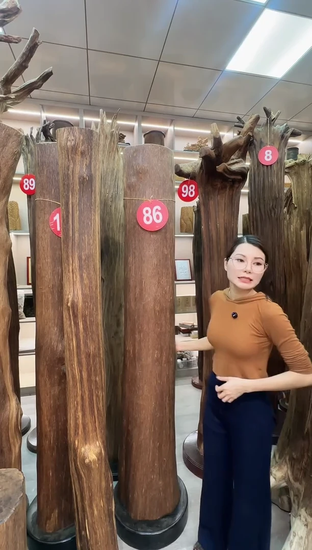 沉香摆件漂**海沉香原料 七天无理由