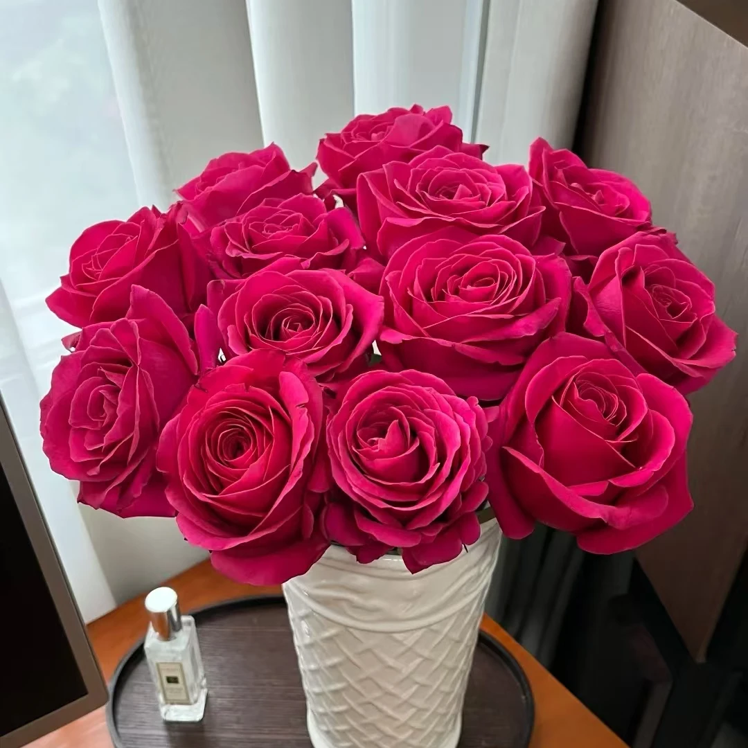 【温柔浪漫】JJ弗洛伊德单头玫瑰 遇水即炸  一单包邮