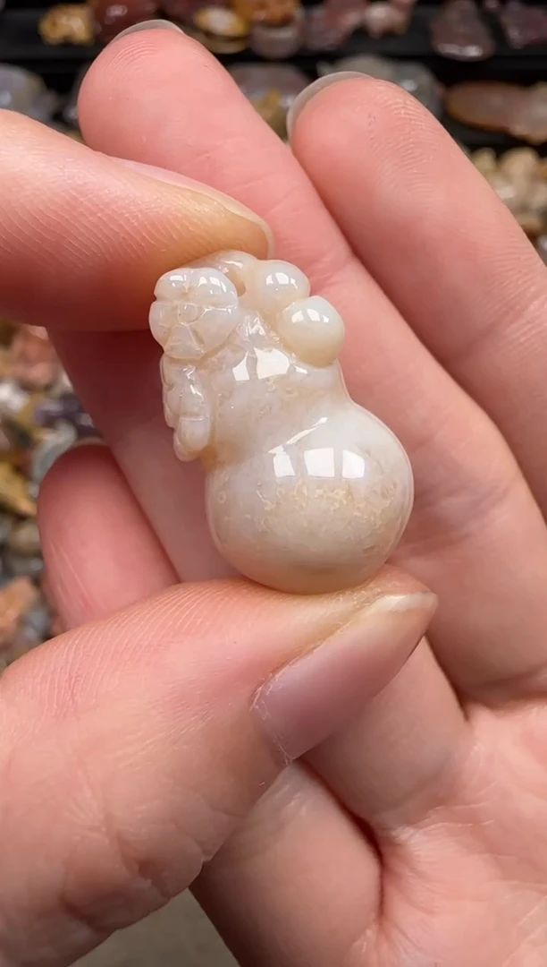 硅化珊瑚（珊瑚玉）未镶嵌颈饰174