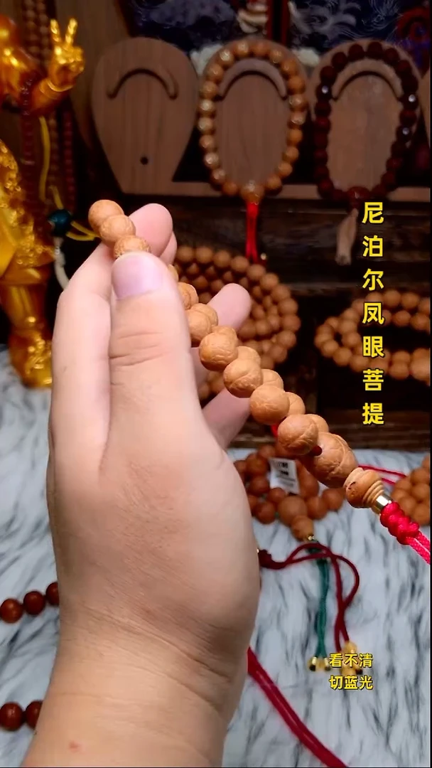 手串凤眼菩提新籽11