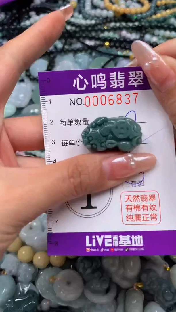 颈饰未镶嵌翡翠闪购006837