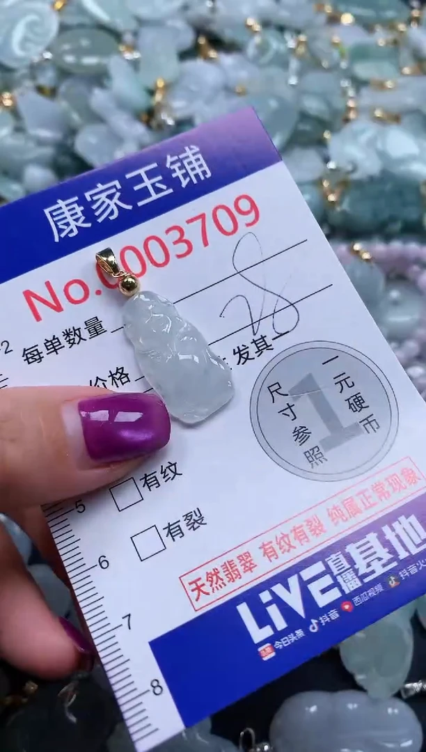 颈饰未镶嵌翡翠3709