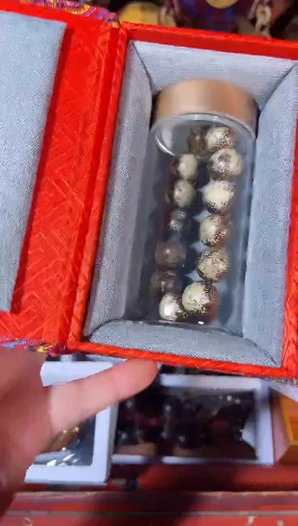 黄杨木11111111111