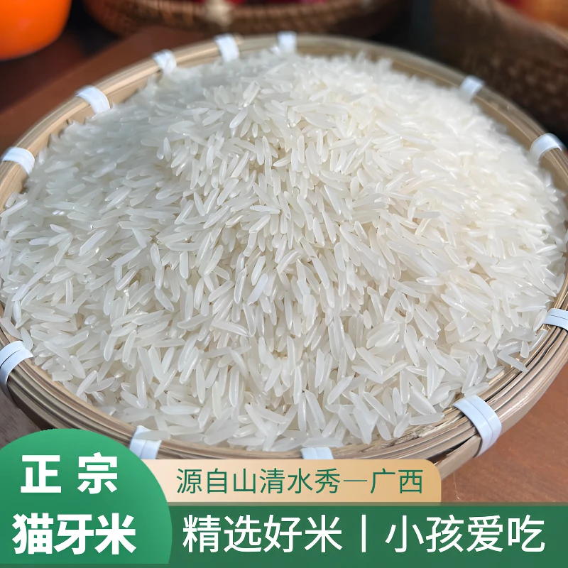 2025年新米广西农家长粒香猫牙米2.5kg5kg软糯香甜大米煲仔饭