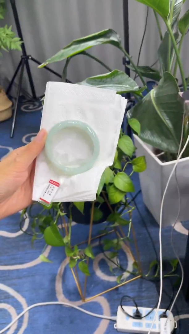 未镶嵌手镯翡翠6008