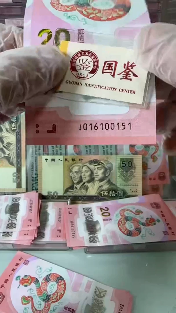 【闪购商品】塑料016100151蛇钞单张