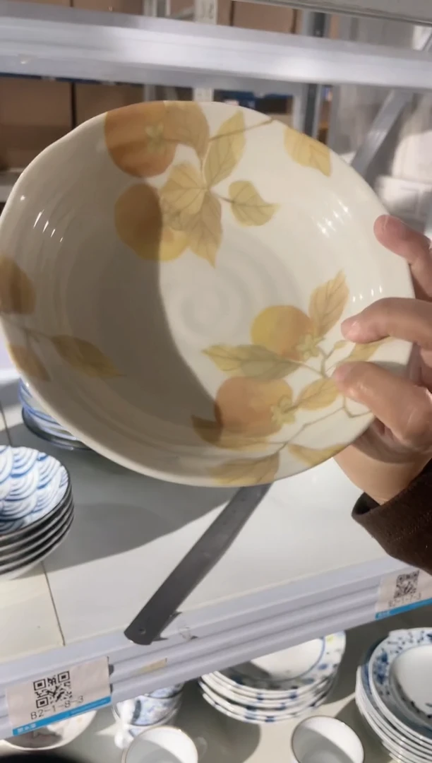 【闪购商品】瓷片TNSS55B微瑕TNSS55B微瑕