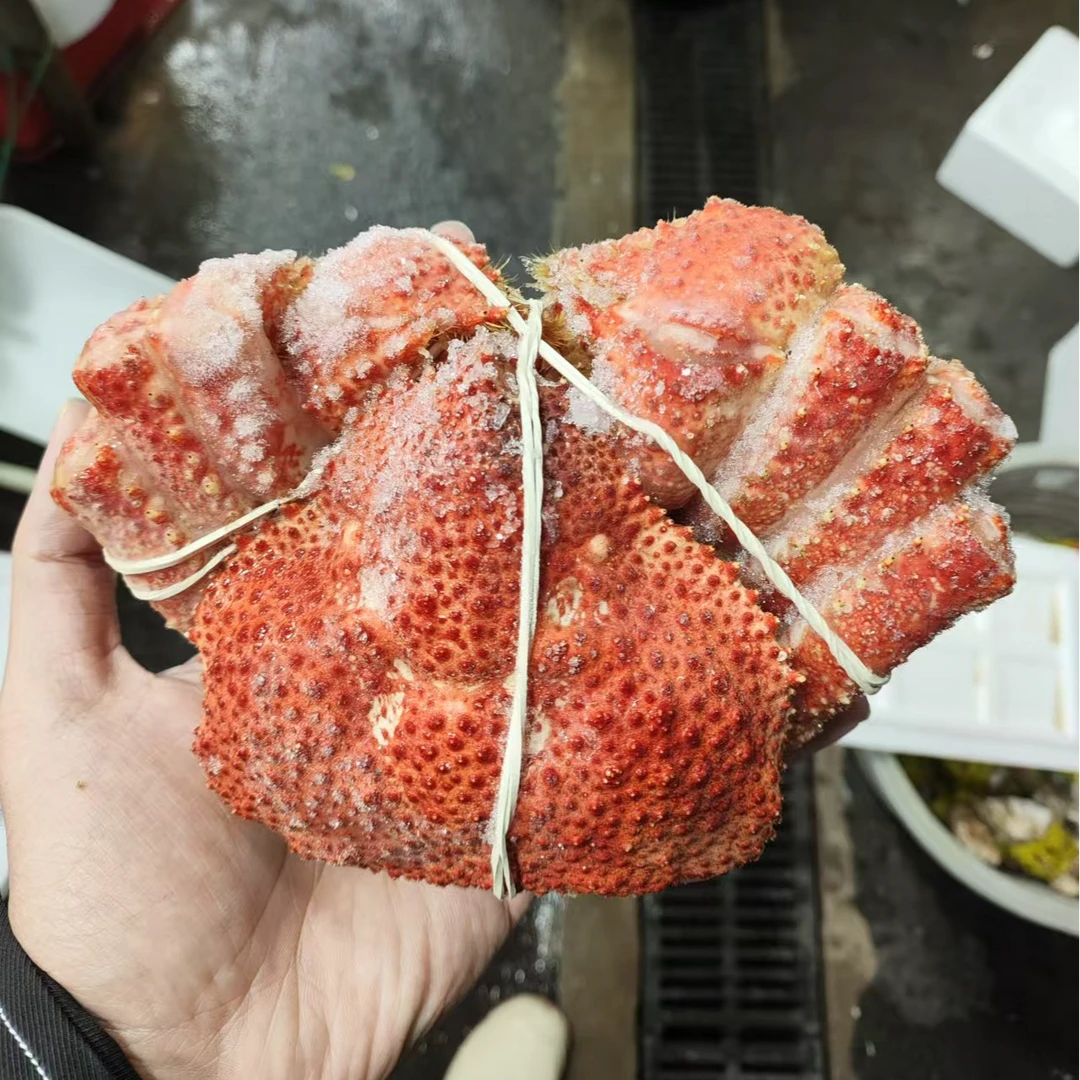【熟冻雪蟹】上街弟推荐活冻雪蟹 大小规格介意个别断脚勿拍