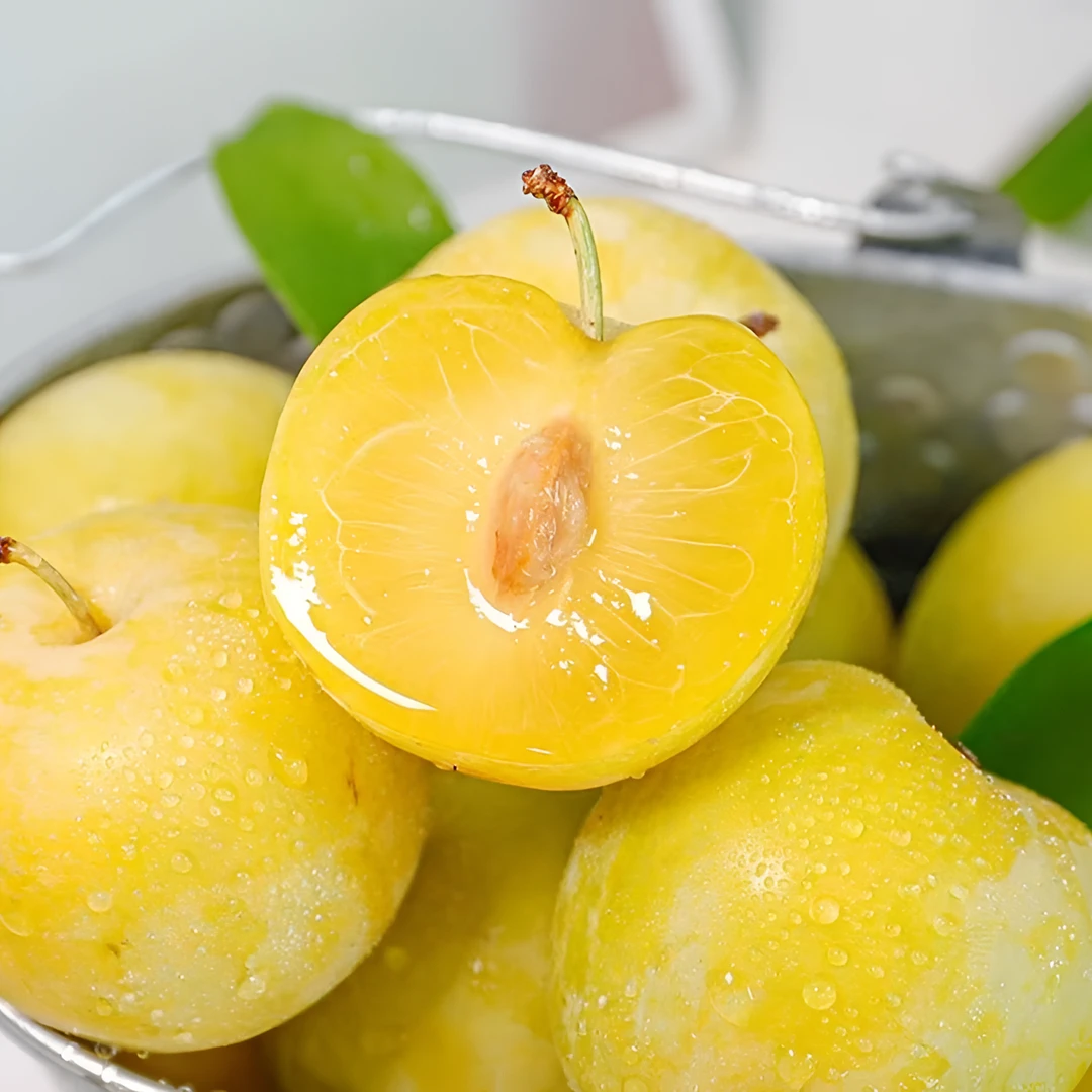 【小主播源头自采】冰糖李桃花李黄金奈李甜蜜多汁现摘现发