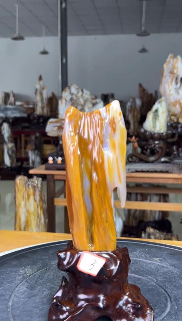 未镶嵌珠宝奇石硅化玉3