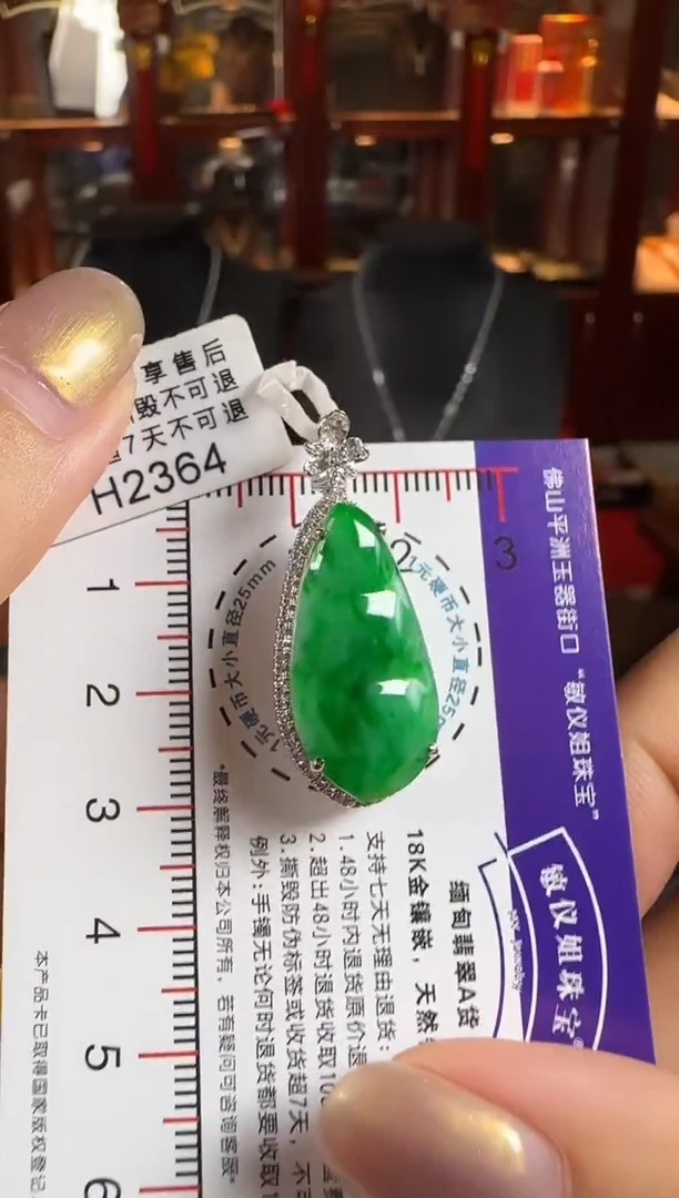 颈饰18K金镶嵌翡翠H2364绿富贵豆