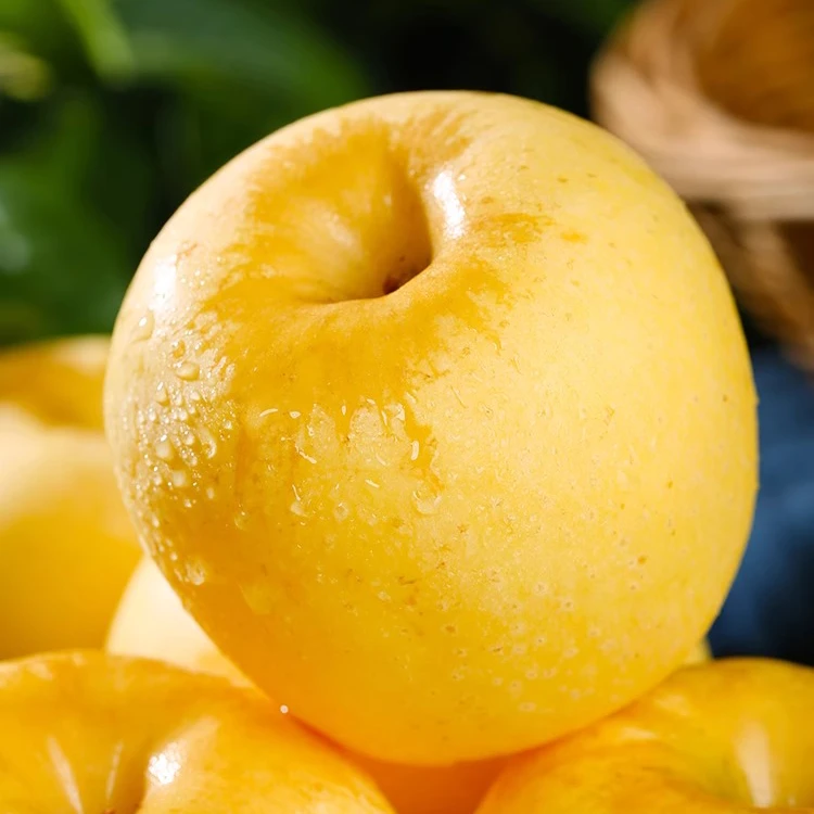 【散装5斤】黄金维纳斯苹果散装5斤仅限长治市区购买