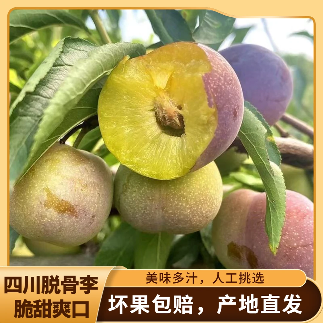 正宗四川脱骨半边红茵红李新鲜应季水果脆甜多汁爽口肉厚
