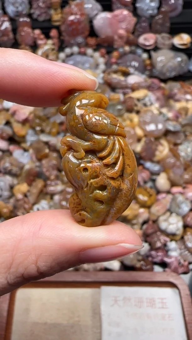 颈饰未镶嵌硅化珊瑚（珊瑚玉）866