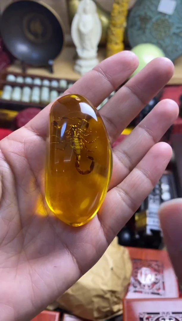 裸石琥珀未镶嵌主播推荐主播推荐