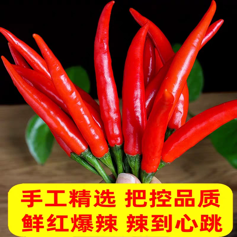 新鲜小米辣小米辣椒小米椒蔬菜小米辣鲜椒新鲜辣椒特辣巨辣红辣椒