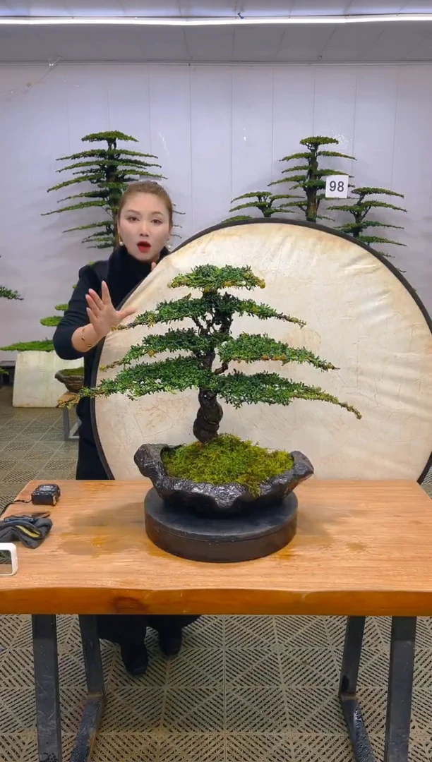 无花朵一物一拍一物一拍