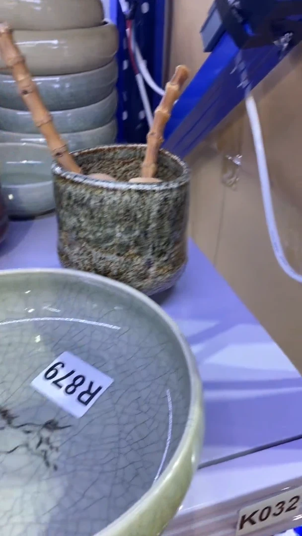 瓷片沙****鸟879 沙漠中最后一只鸟