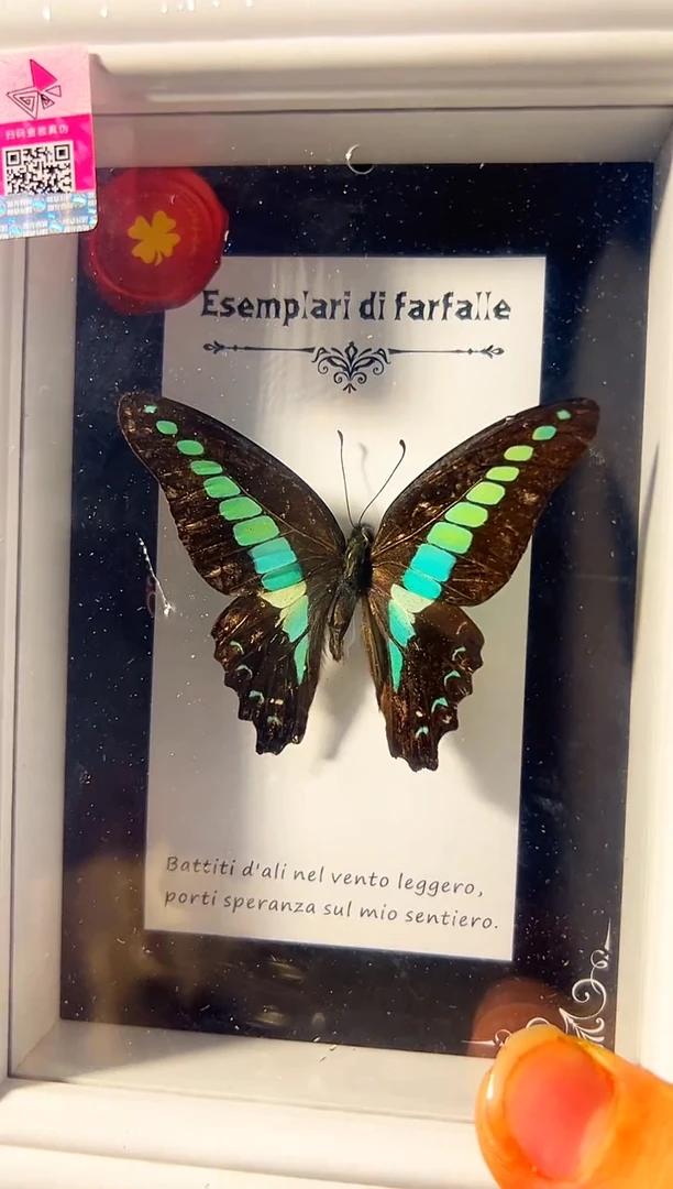 有机玻璃10*15欧式相框