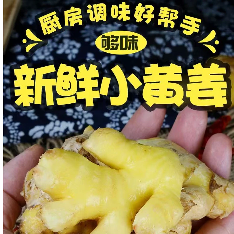 云南小黄姜生姜批发正宗云南黄姜农家现挖自种新鲜蔬菜月子整箱