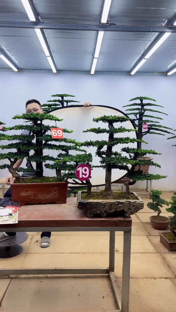 无花朵一物一拍，所见即所得