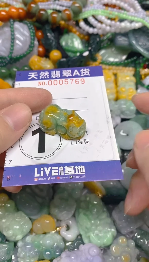 颈饰未镶嵌翡翠0005769