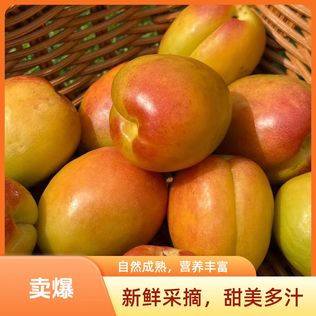 新疆直发顺丰空运正宗胡安娜芒果杏当季新鲜酸甜水果