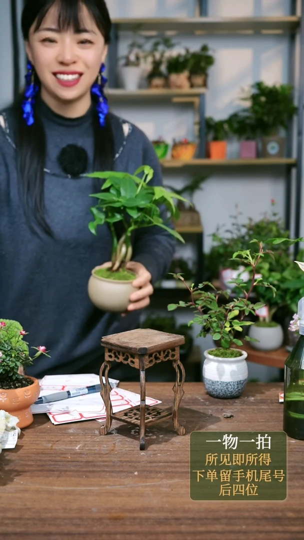 【闪购商品】145--海马几