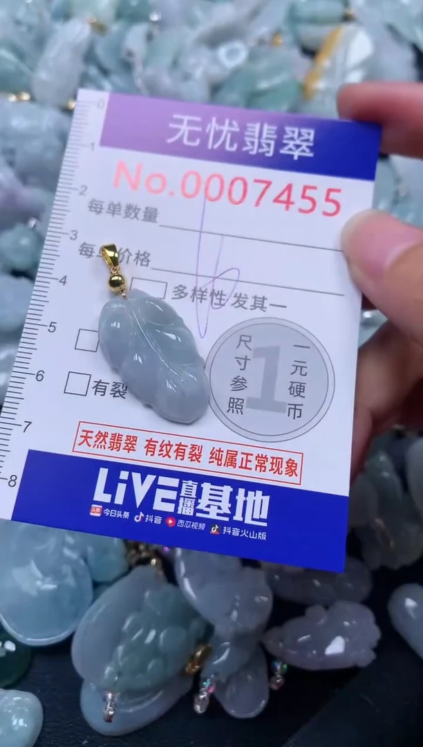 颈饰未镶嵌翡翠7455