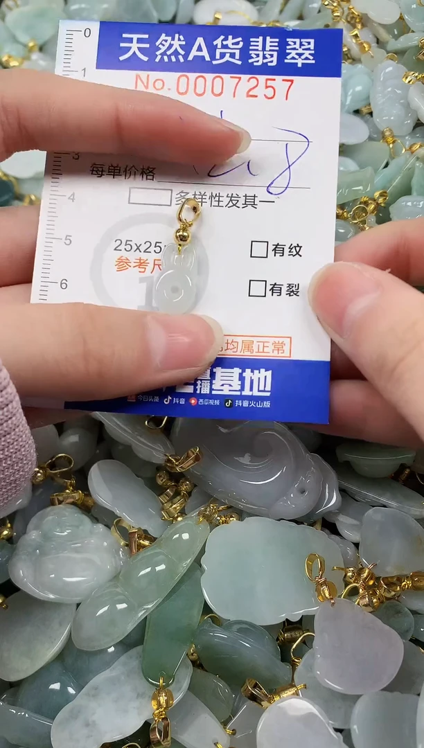 颈饰未镶嵌翡翠纯天然a货翡翠