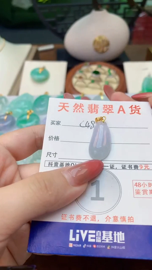 颈饰未镶嵌翡翠天然A货翡翠挂件