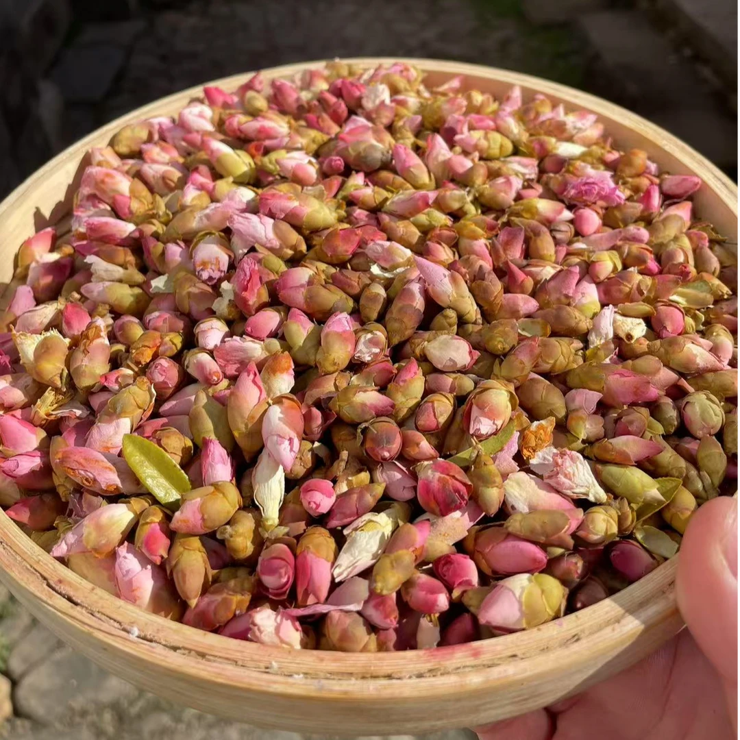 高山 农家 天山雪玉兰