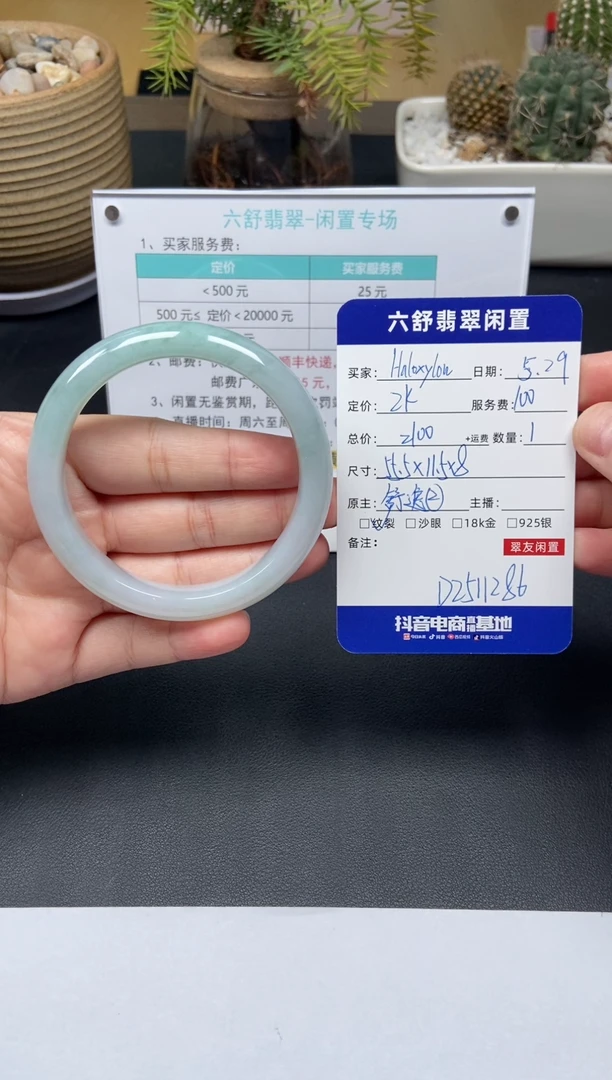 翡翠手镯未镶嵌D2511286