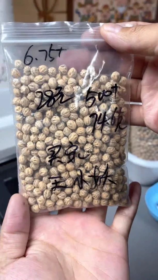 柏香籽/百香籽手串合上柏香热振散籽 王小妖