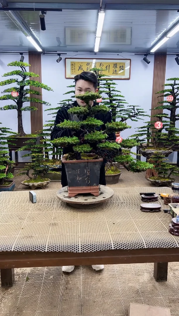 【闪购商品】000000000