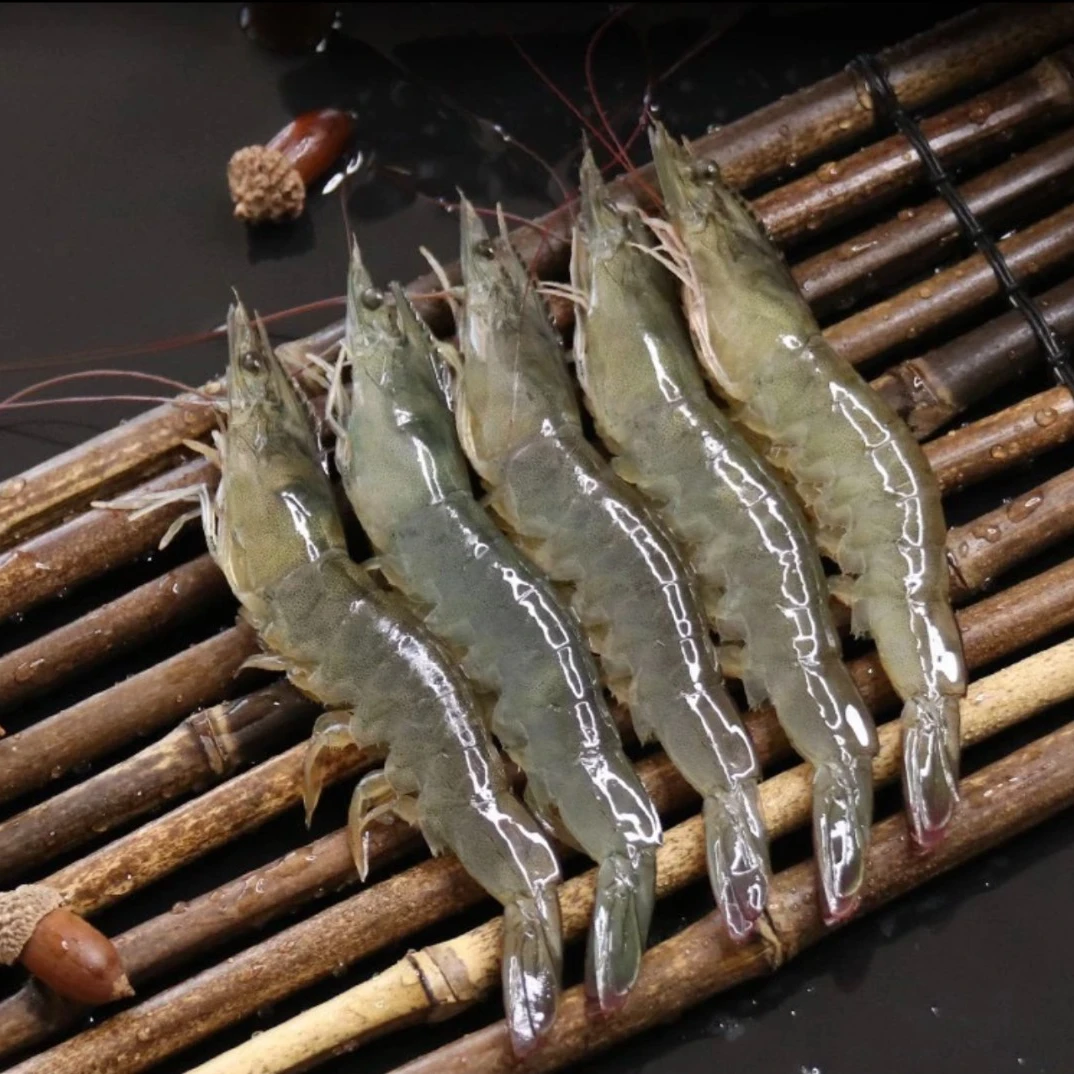 海捕野生小白虾海毛虾 一斤50-60只左右500G/盒*4盒【介意小慎拍】