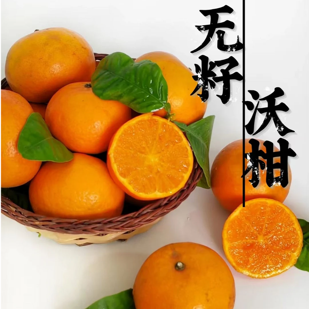 四川无籽沃柑新鲜采摘水果非广西云南耙耙柑脐橙柑橘5/9斤装包邮