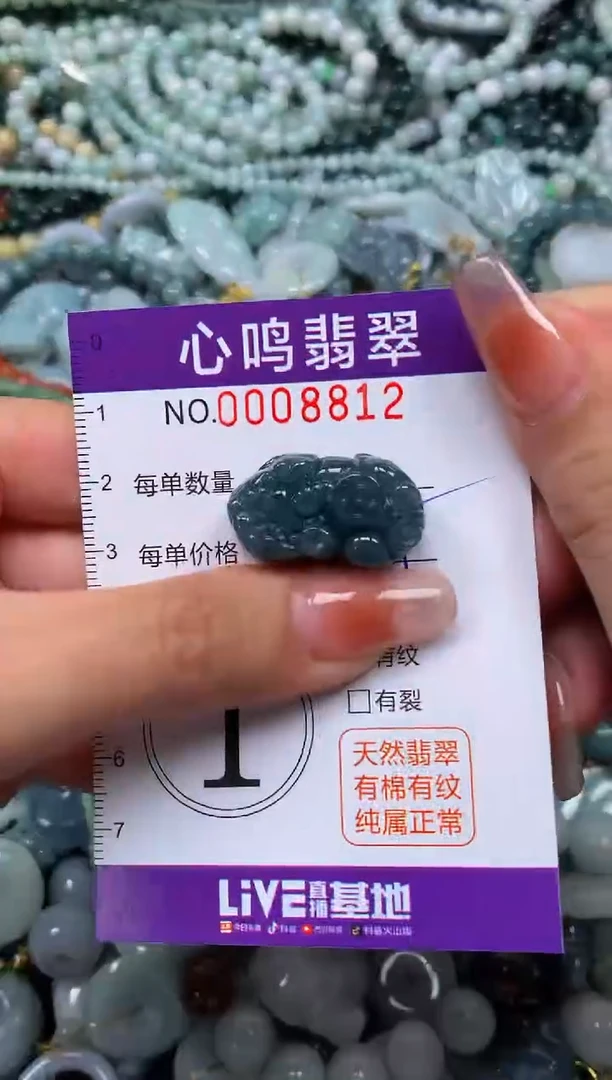 颈饰未镶嵌翡翠闪购008812