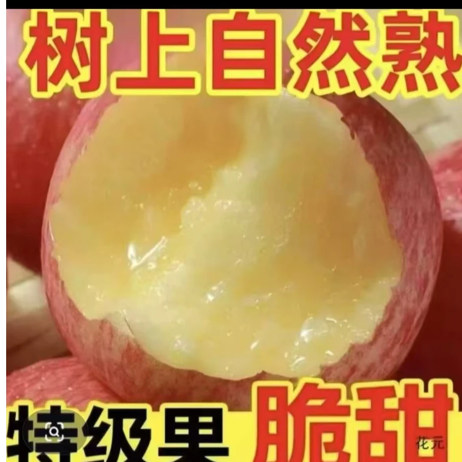 正宗红富士苹果现摘新鲜可口冰糖心脆甜多汁