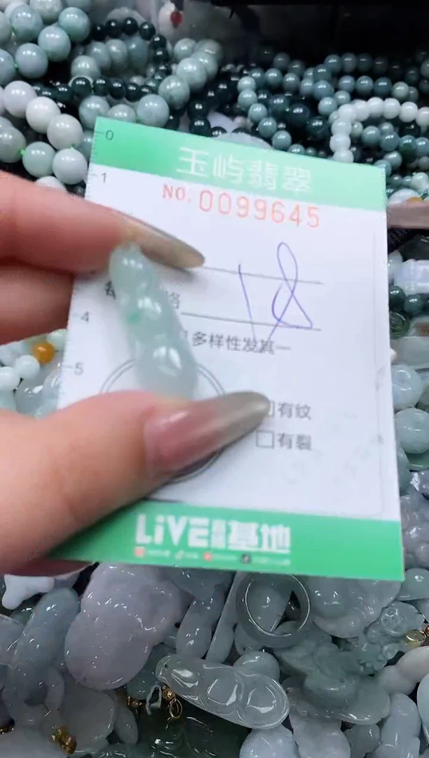 【闪购商品】翡翠未镶嵌颈饰闪购0099645