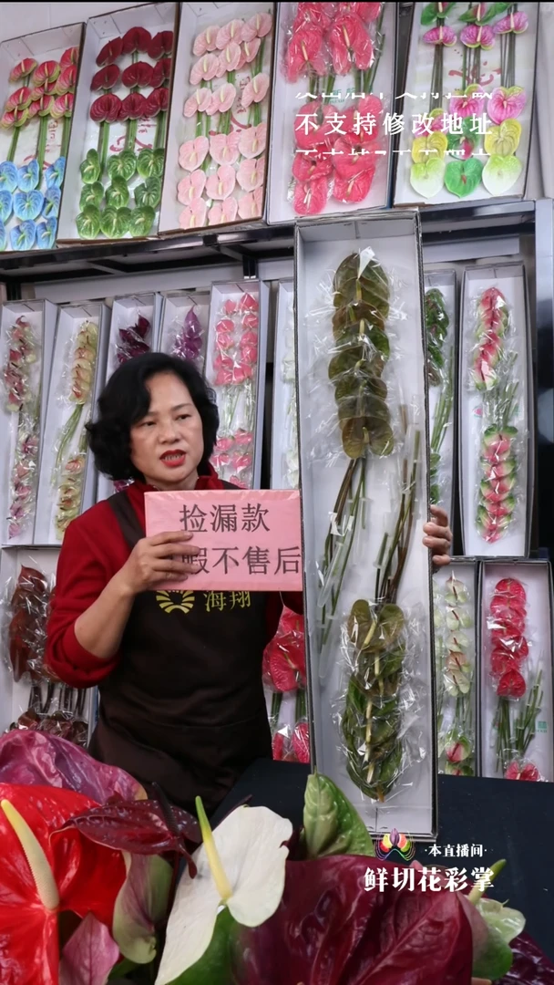 完全开放欧丽维斯16枝(长25-30横冠幅7-10有瑕福利不退不换不售后