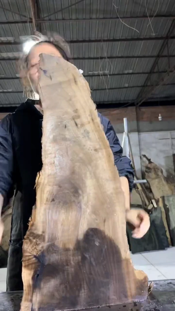 金丝楠25金丝楠小叶桢楠