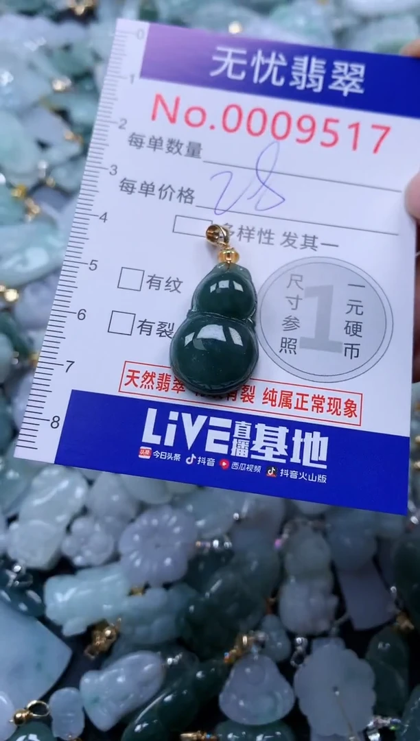 颈饰未镶嵌翡翠9517